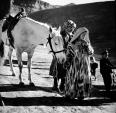Чабан и его жена ведут лошадь в поводу. 1967. Фото: Макс Альперт/ РИА Новости