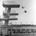 Соревнования по прыжкам в воду. 1971. Фото: Роберт Нетелев/ РИА Новости